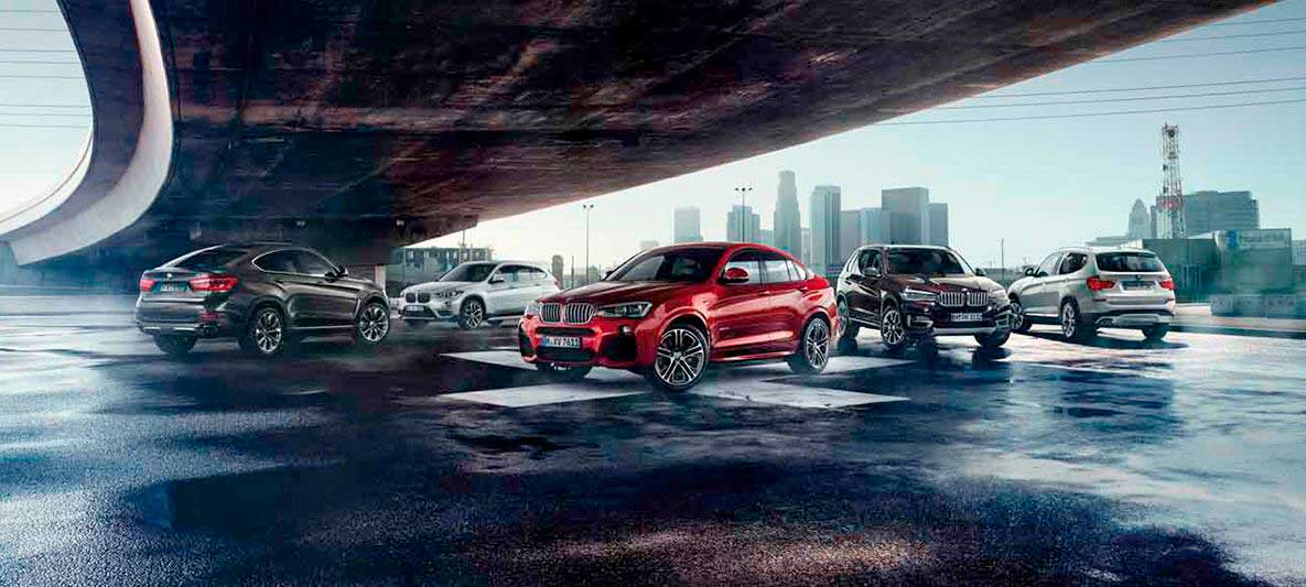 Imagen Principal BMW Serie X